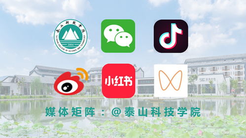 泰山科技学院星鑫校友圈入选2024山东教育融媒TOP100，展现校友联结新力量